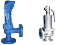 Safety Valve