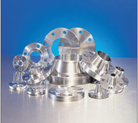 Duplex Strainer