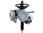 Shutdown Valve