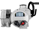 Shutdown Valve