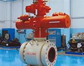 Shutdown Valve