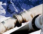 Multilayer Thermoplastic Hose